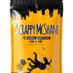 Scrappy McShane Graphic Novel Teen Mystery Adventure Series-0